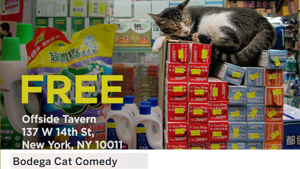 See more of josh seefried on facebook. Bodega Cat Comedy At Offside Tavern Murphguide Nyc Bar Guide