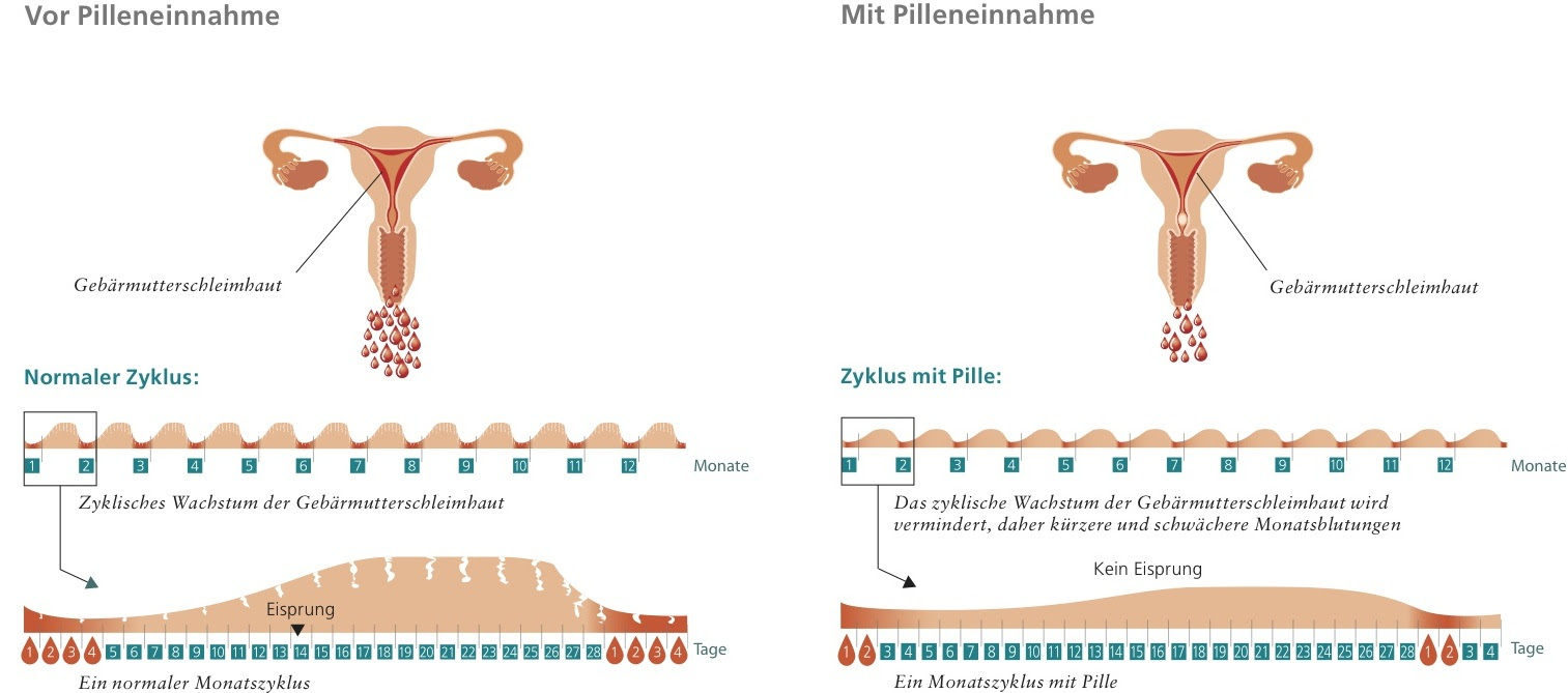 Nach der einnahme sollte man bedenken, dass sich die regelblutung verschieben und somit zu einem früheren oder späteren. Zyklus Und Menstruation Mit Der Pille Diepille Info