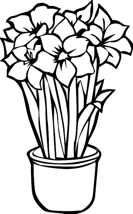 Download Realistic Flower Coloring Page - Creative Art
