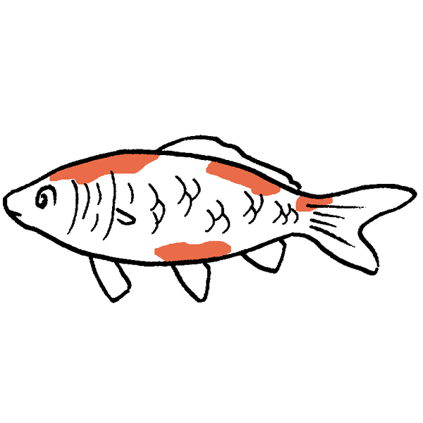 人気ダウンロード 鯉 イラスト 無料 鯉 イラスト 無料 白黒