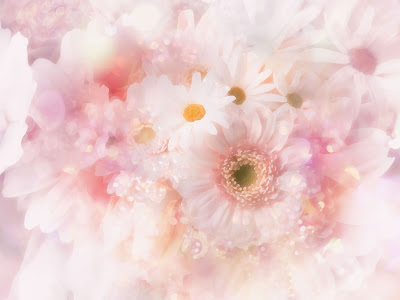 √1000以上 かわいい ピンク 花 画像 フリー 149975