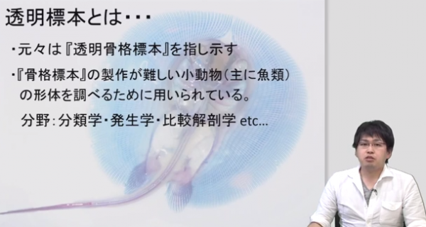 ぜいたく透明 標本 作り方 安く すべての美しい花の画像
