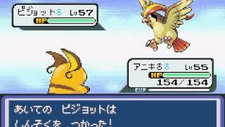 50 ポケモン アクア ブルー チート 100 で最高の画像