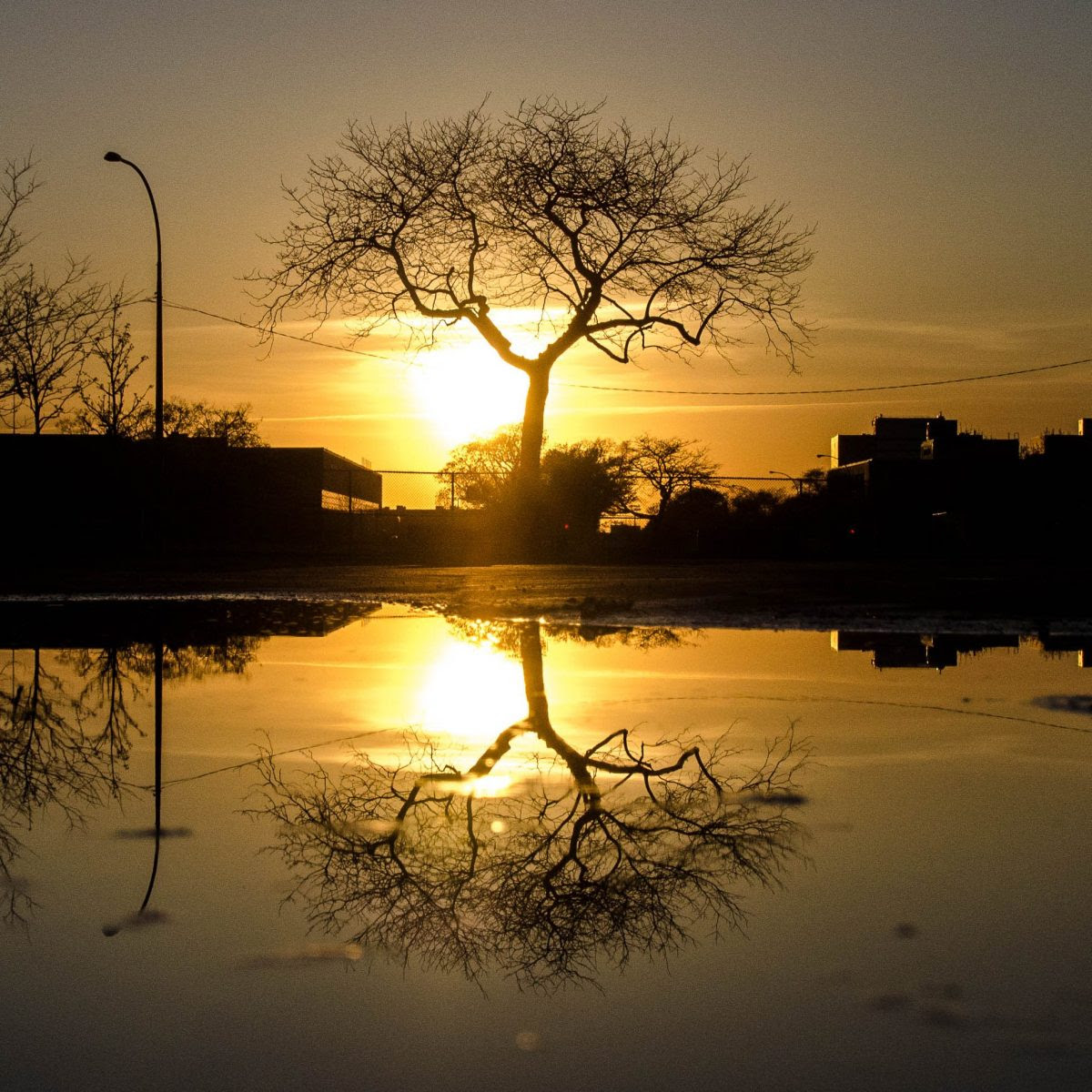 Check 'reflection' translations into tagalog. Online Essay Help Amazonia Fiocruz Br