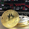 Cryptocurrency Investing - An Introduction : Cryptocurrency Understanding The Concept Of Cryptocurrency Blockchain And Bitcoin The Simple Introduction To Internet Money It S Benefits And What You Need To Know About Investing By Stephen Blumenthal - Cryptocurrencies allow users to transfer money instantly.