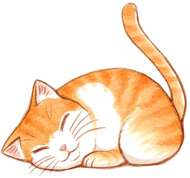 75 眠る 猫 猫 寝る イラスト ディズニー帝国