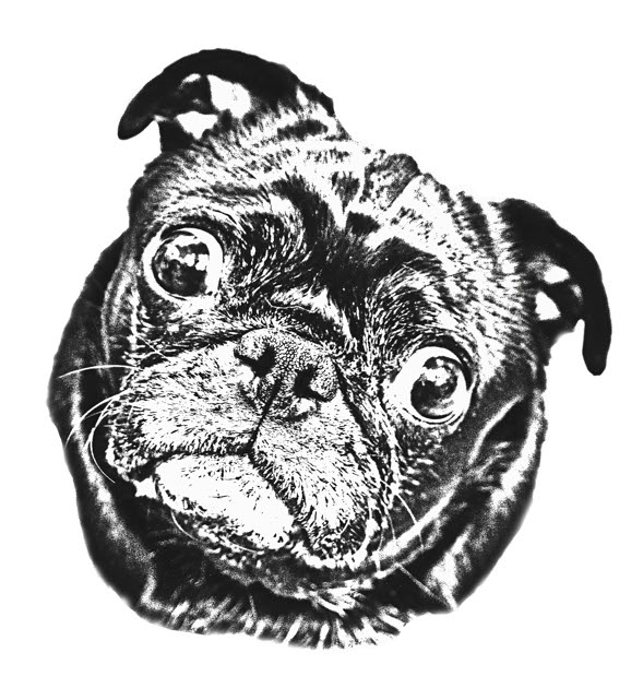 ユニーク犬 イラスト 白黒 すべての動物の画像