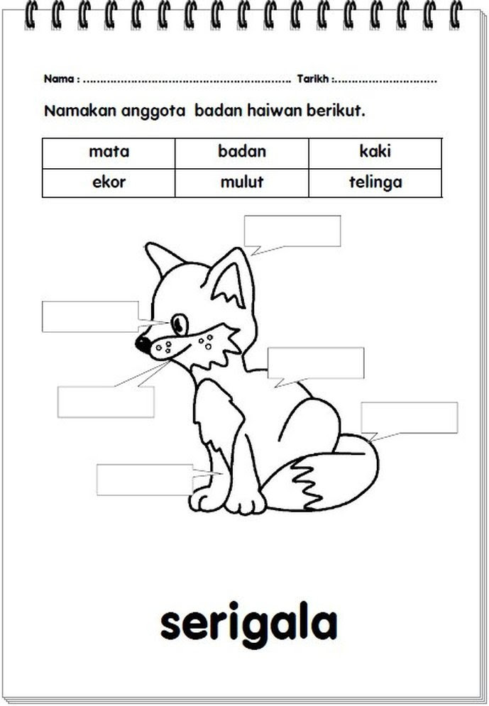 Soalan Darjah 2 Sains - La Contoh