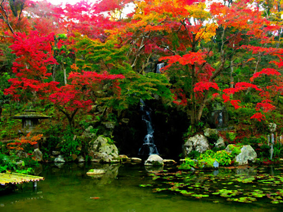 最も共有された 日本庭園 壁紙 日本庭園 壁紙 Iphone Success Blogj5eda
