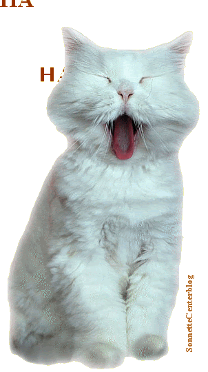 Jpdiamukpictf1ev Imprimable Chat Qui Rit Gif Chat Qui Rit Gif