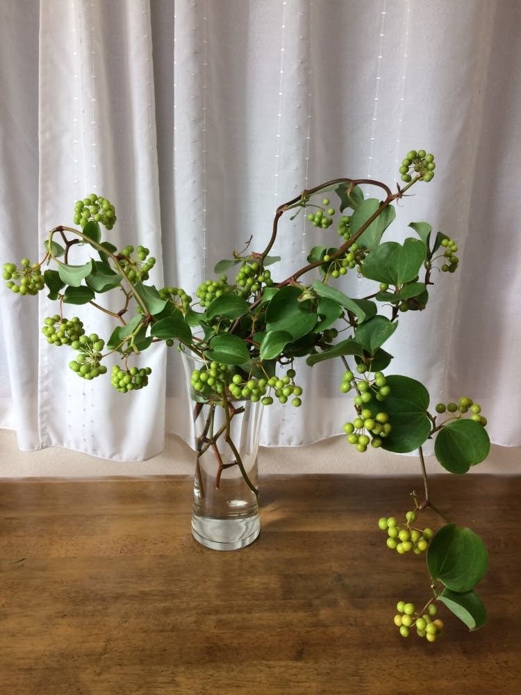 無料印刷可能山帰来 花 最高の花の画像