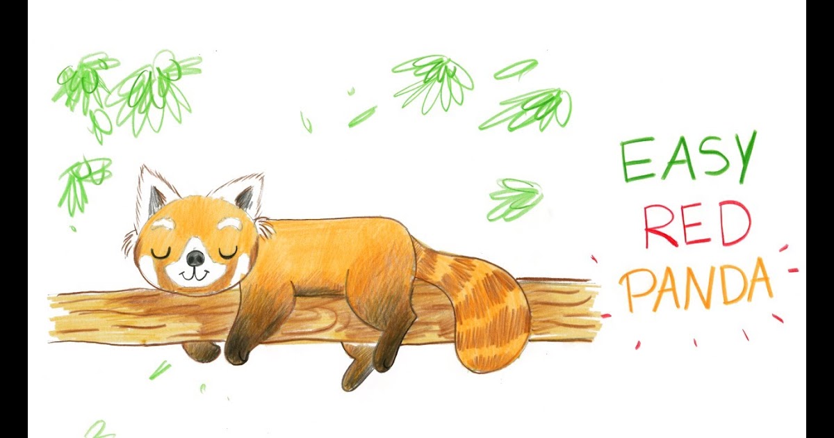 Dessin Kawaii Panda Roux Facile Dessin Facile