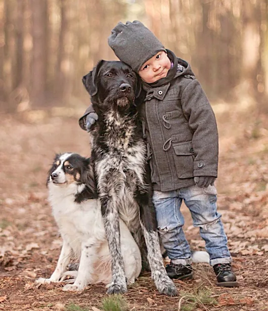 If they stand by you during the bad times, they deserve to be there during the good times. Into The Woods, Into The Water, Into The Dark: Veterans Homeless Blues.House Searches: Veterans Connect.