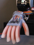 Soft robotic hand mounted on a robotic arm (credit: Cornell University)