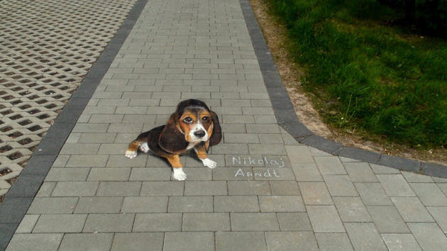 3D Street Art by Nikolaj Arndt - dog