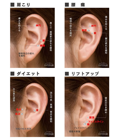 無料ダウンロード 痩せる耳つぼ 痩せる耳つぼの場所