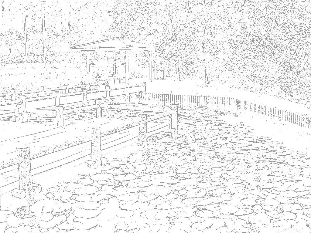 ダウンロードおよび印刷可能なぬり絵 印刷可能無料 塗り絵 夏