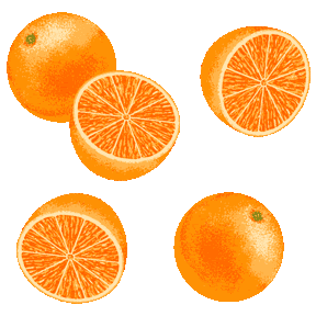美しい花の画像 心に強く訴えるイラスト オレンジ