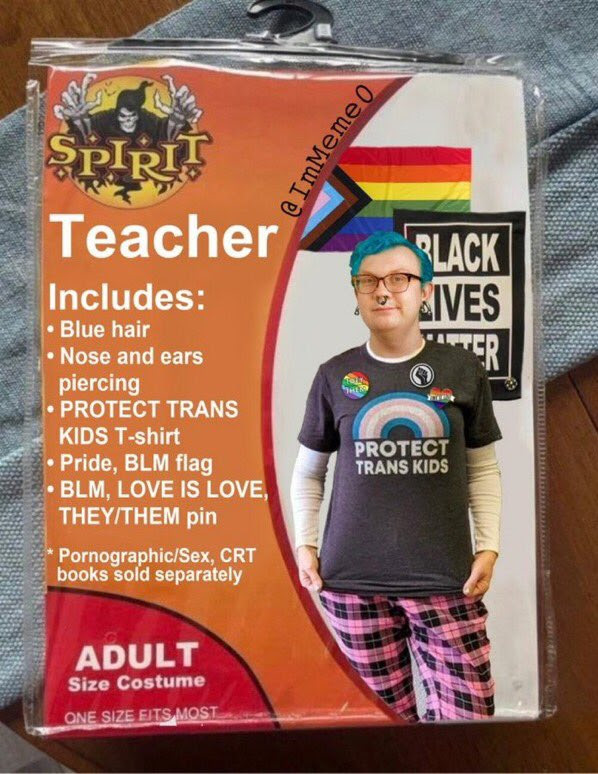 Picture of fake Halloween costume of a non-binary teacheer.