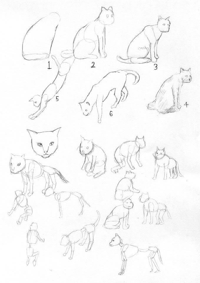 最高かつ最も包括的な描き 方 猫 イラスト 書き方 全イラスト集