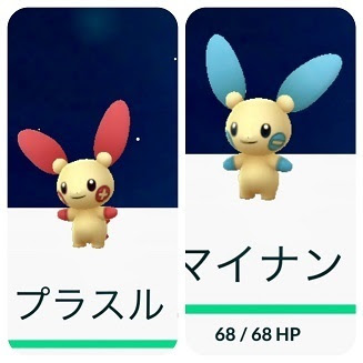 綺麗なピンク 魚 ポケモン 最高の花の画像