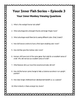 Your inner monkey worksheet answers