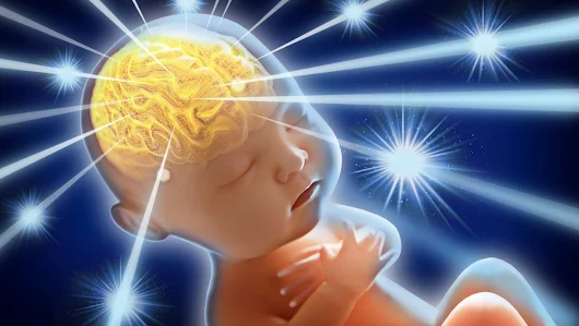 Scientist Who Gene-Hacked Babies â€œLikelyâ€ Boosted Their Brainpower