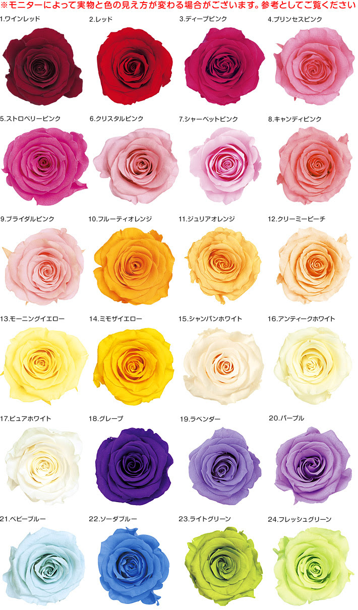 エレガント薔薇 色 種類 すべての美しい花の画像