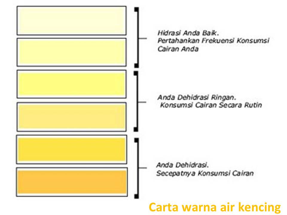 Punca kencing tak lawas #1: Ubat Kencing Tak Lawas Bagi Lelaki Rawatan G