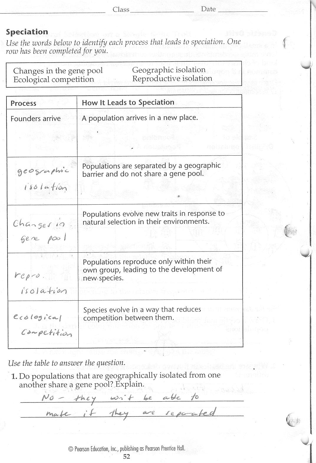 Compare meiosis in male and female germ cells, and use crossovers to increase the number of possible gamete genotypes. Straubel Biology 2010 2011