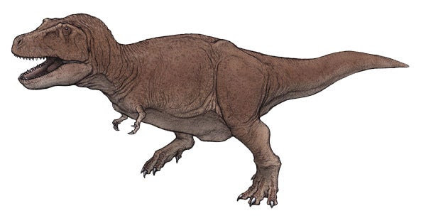 ティラノサウルス 恐竜 イラスト リアル Okepictydae