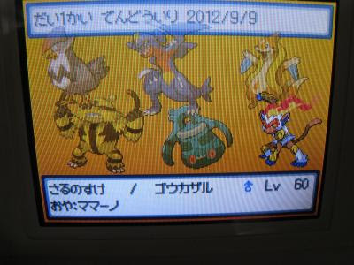 コレクション ポケモン プラチナ ゴウカザル ポケモン プラチナ ゴウカザル 性格