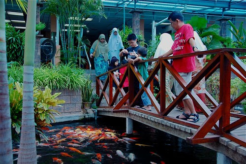 Kompleks akuarium ini terletak di batu maung, berdekatan dengan muzium perang dunia kedua. Batu Maung Akuarium Penang Best Recipes Foods And Travel