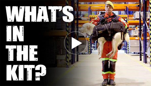 What’s in the kit of a Spanish dog handler?