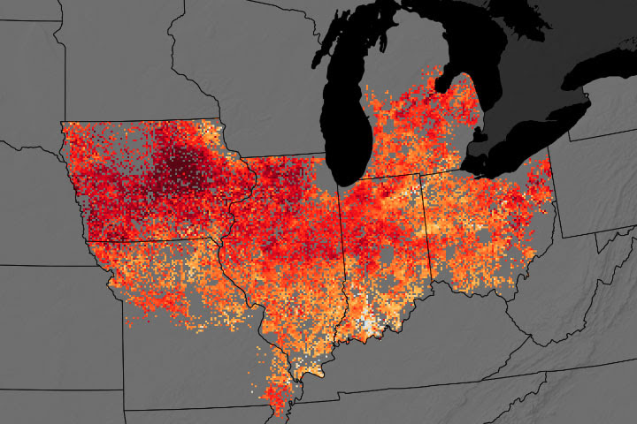 Midwest Farmers Using Cover Crops Take Small Yield Hit