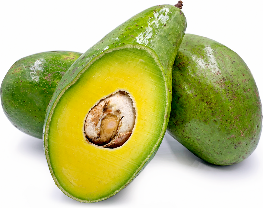 Mexico is the world's largest exporter of avocados. Ghanaian Avocados Information And Facts