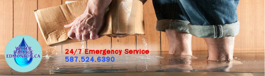 Get the best edmonton cleaning service to clean your space. Auto Floor Scrubber Rental Edmonton 587 524 6390