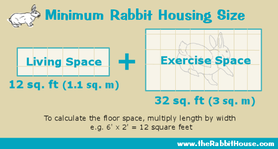 Such litter box usually have a plastic grid which secures its contents and prevents your bunnies from scattering it all over the floor. Planning A Homemade Rabbit Cage