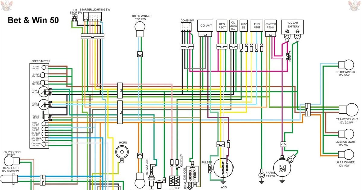 Moped Taotao 50Cc Scooter Wiring Diagram / Tail Light Bulb Socket And