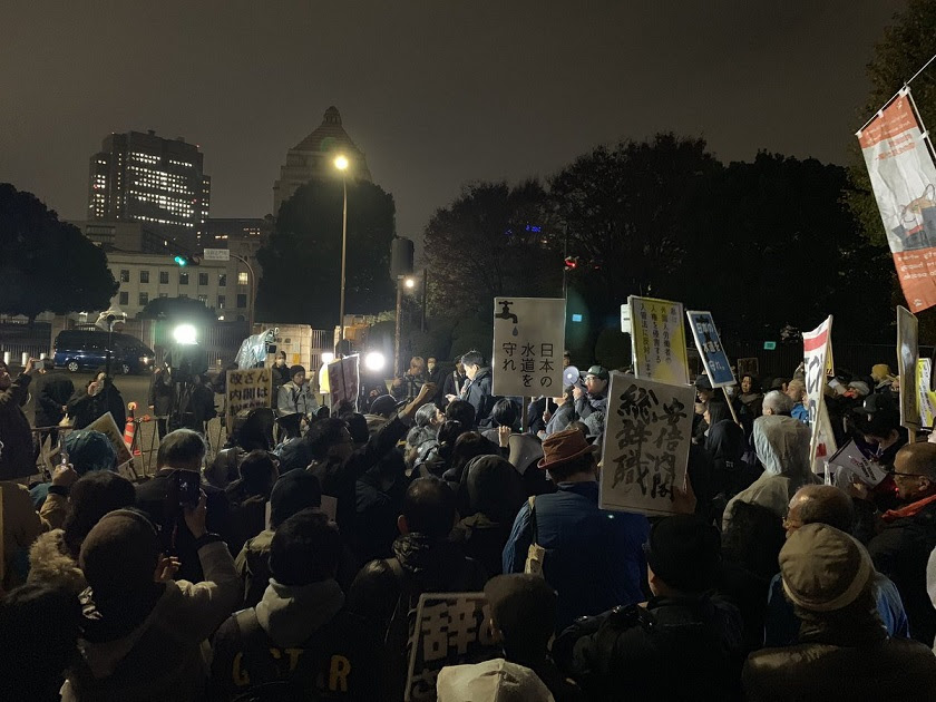 最も共有された 中山美幸 くだみみの猫
