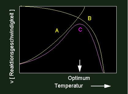 The enzyme works by having more than one conformation, which can move between them. Botanik Online Physikalische Chemie Enzyme Inhibition