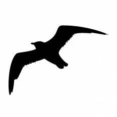 75 シルエット 飛ぶ 鳥 イラスト 動物ゾーン