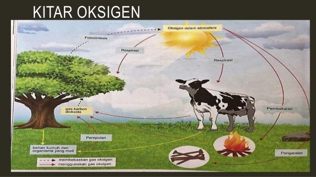 Kitar Oksigen