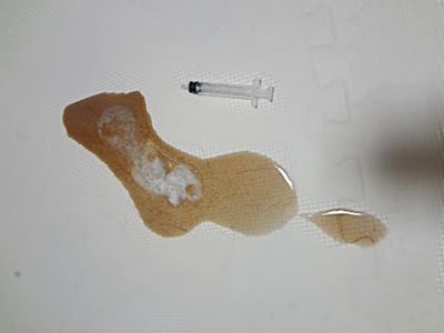 犬 吐く 茶色の液体 0618 犬 吐く 茶色の液体 Blogejokiyorolas