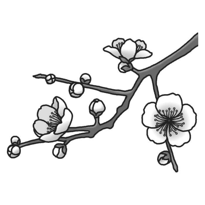 かっこいい 梅 の 花 イラスト 白黒 Homu Interia