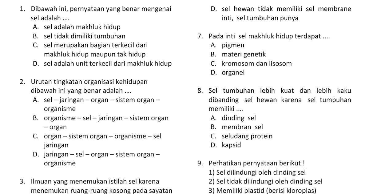  Contoh  Soal  Dan  Jawaban  Tentang Jaringan  Tumbuhan 