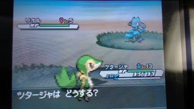 ポケモン Bw2 リオル