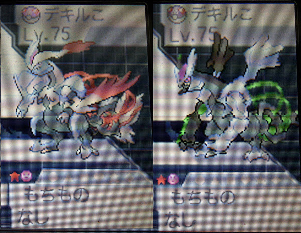 トップイメージカタログ 最高 ポケモン ブラック ホワイト どっち