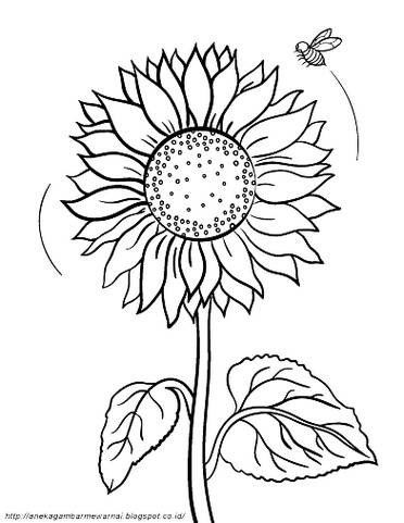 terkeren 21+ bunga matahari kartun hitam putih - gambar