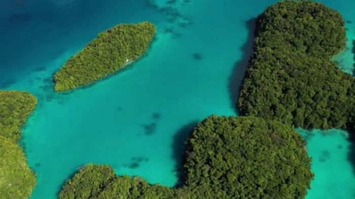 Îles secrètes : Palau, le paradis du Pacifique qui se préserve du tourisme de masse